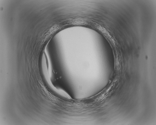 X0000057580201200510171716