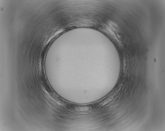 X0000057580202200510171716