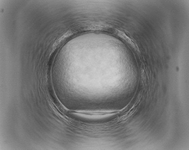 X0000057580203200510171716