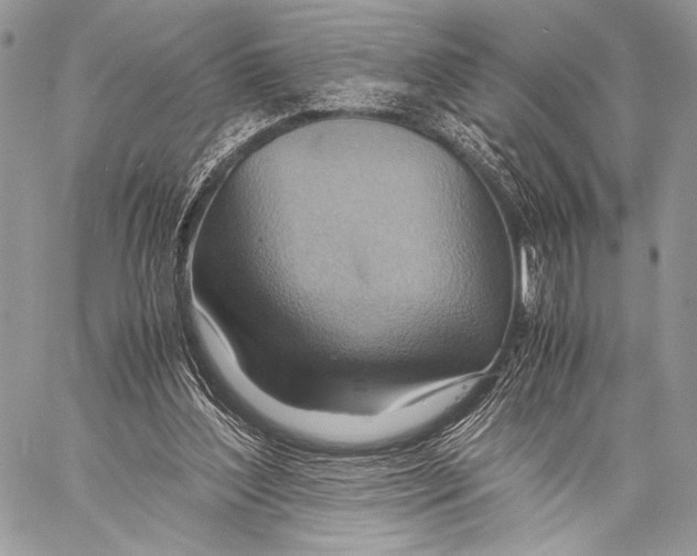 X0000057580204200510171716