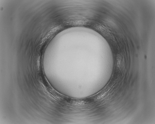 X0000057580206200510171716