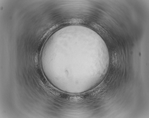 X0000057580208200510171716