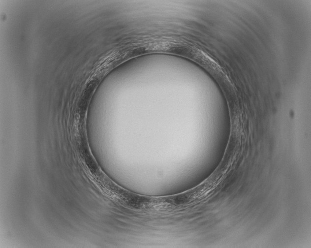 X0000057580209200510171716