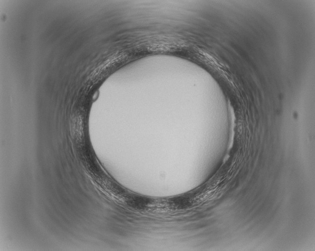 X0000057580211200510171716