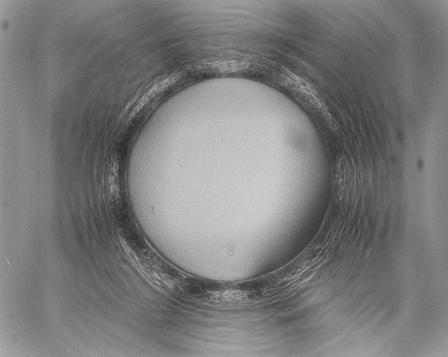 X0000057580212200510171716