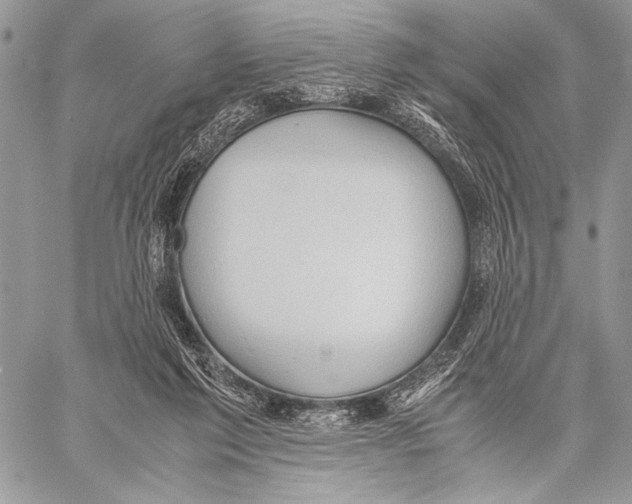 X0000057580213200510171716