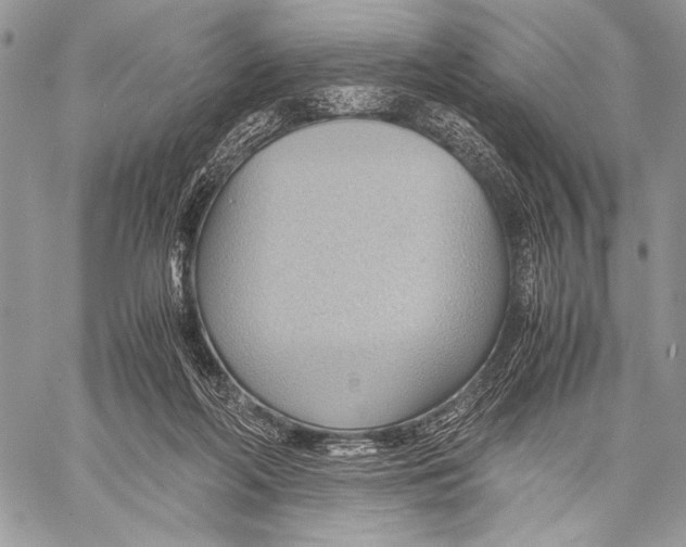 X0000057580214200510171716