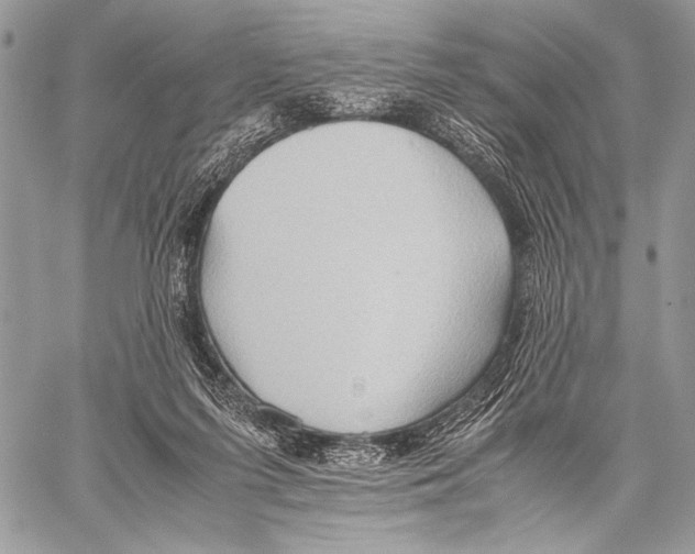 X0000057580215200510171716