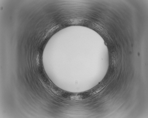 X0000057580216200510171716