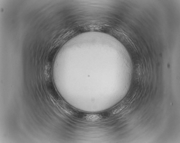 X0000057580218200510171716