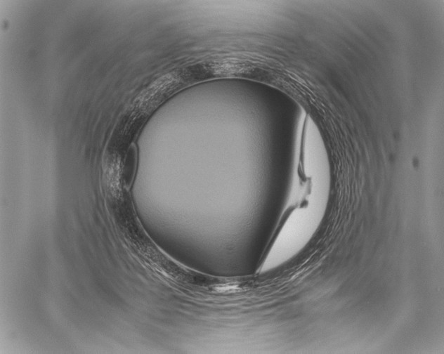 X0000057580219200510171716