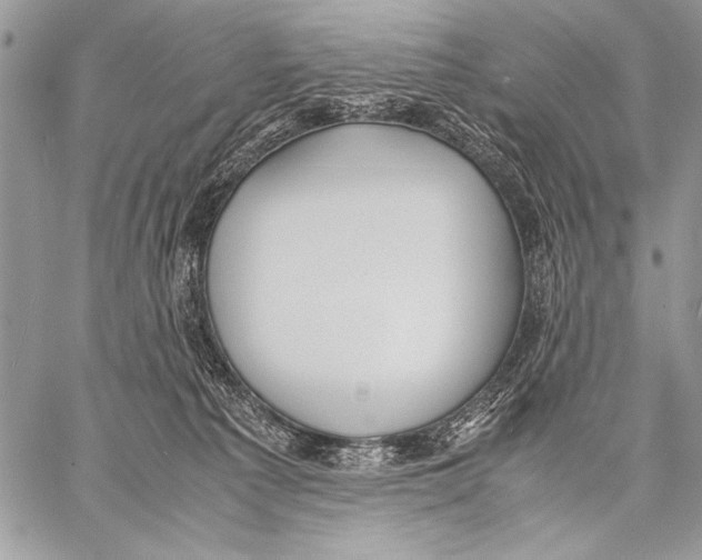 X0000057580225200510171716