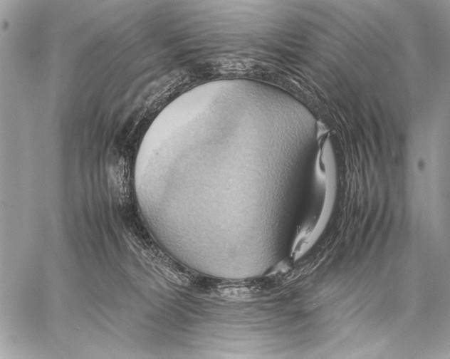 X0000057580228200510171716