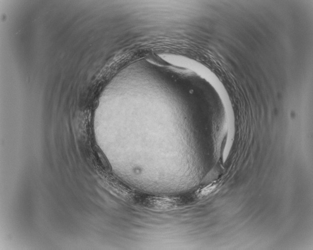 X0000057580229200510171716