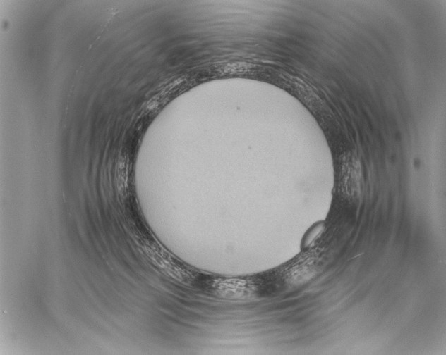 X0000057580230200510171716