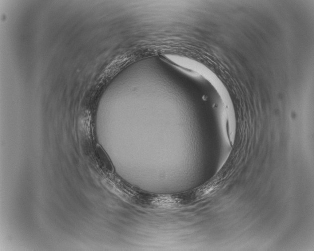 X0000057580231200510171716