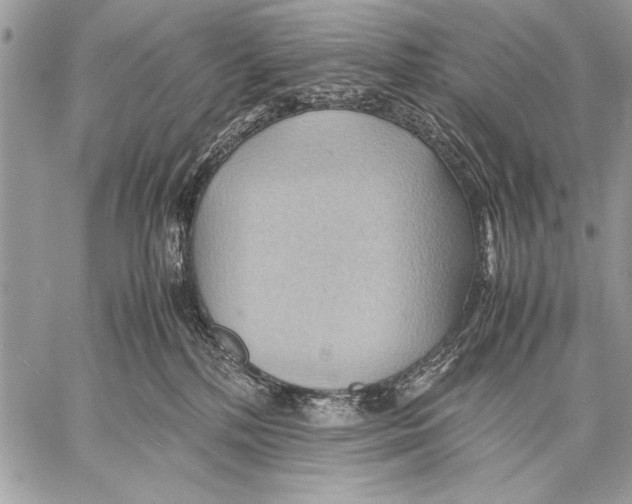 X0000057580232200510171716