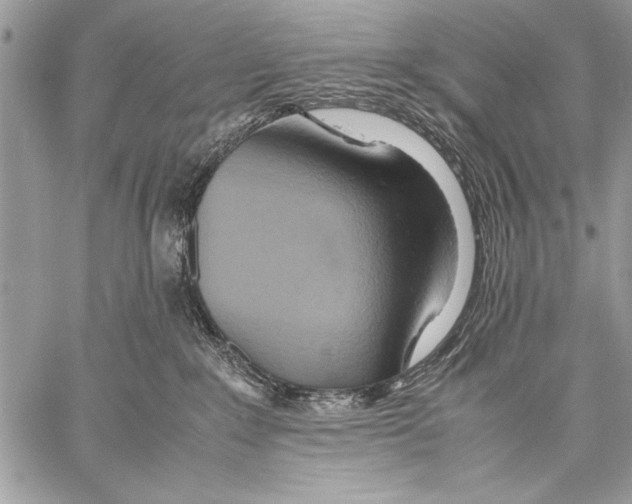 X0000057580235200510171715