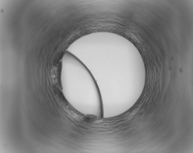 X0000057580237200510171715