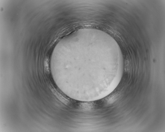 X0000057580238200510171715