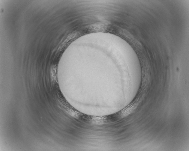 X0000057580240200510171715