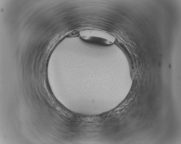 X0000057580241200510171715