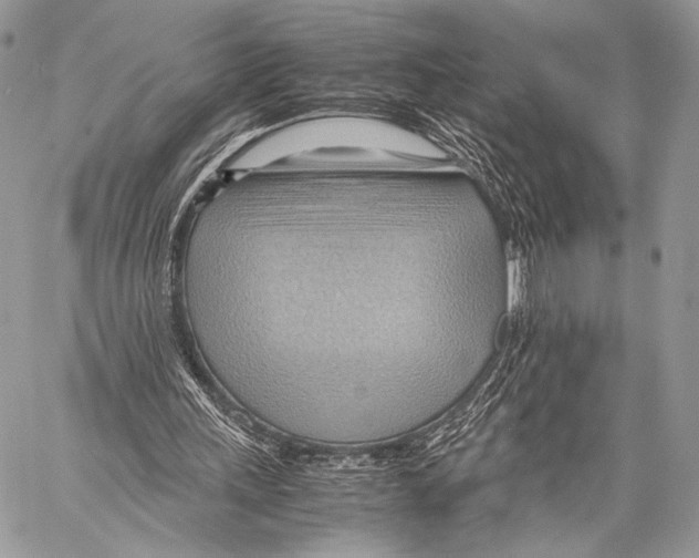 X0000057580243200510171715