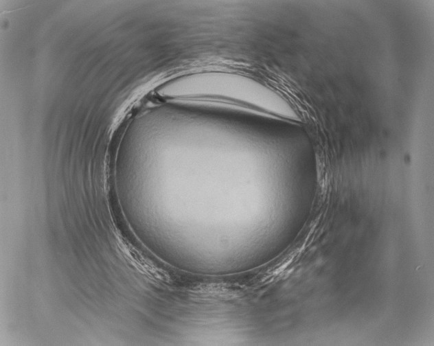 X0000057580244200510171715