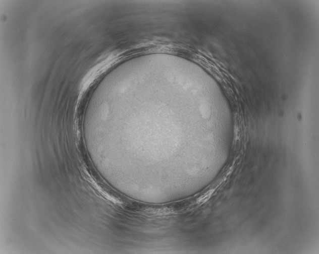 X0000057580245200510171715