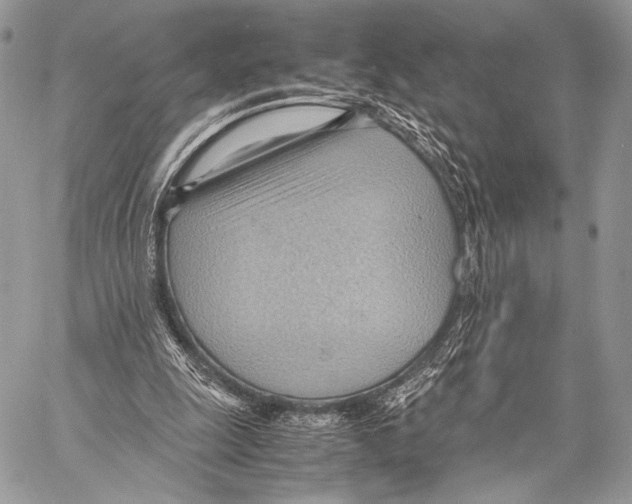 X0000057580247200510171715