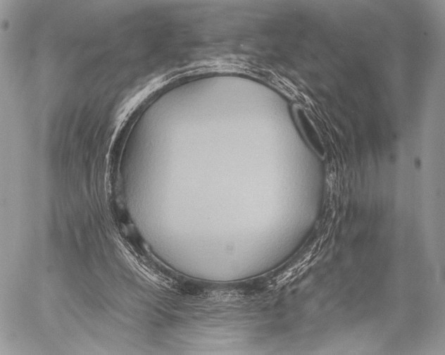 X0000057580248200510171715