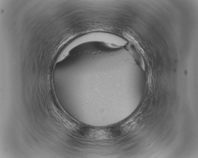 X0000057580249200510171715