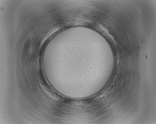 X0000057580250200510171715