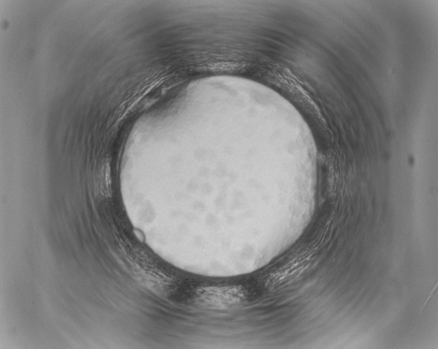 X0000057580251200510171715