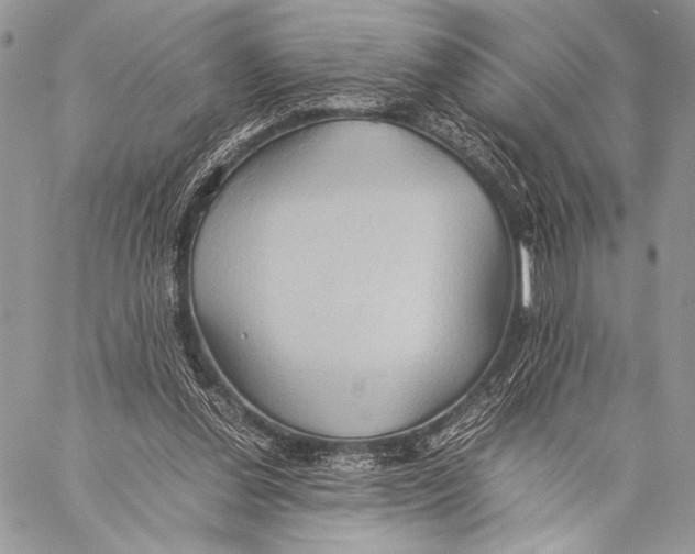 X0000057580252200510171715