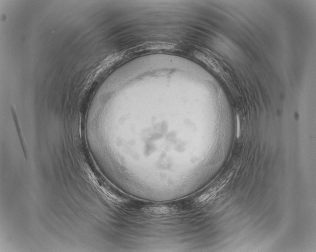 X0000057580253200510171715