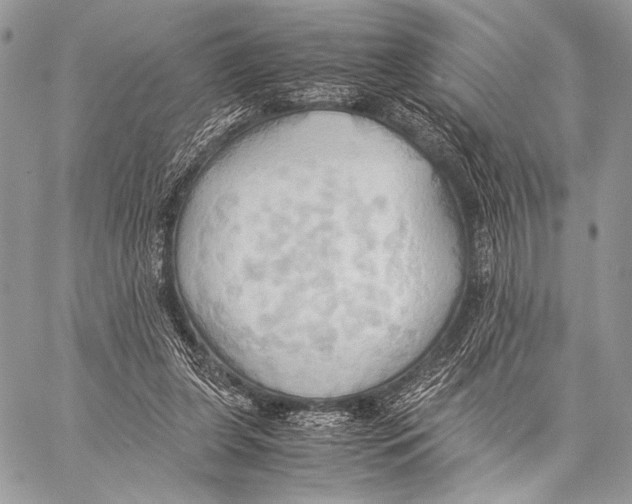 X0000057580255200510171715