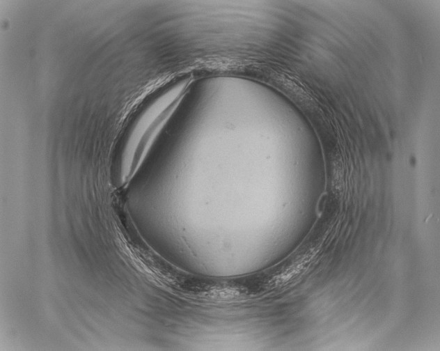 X0000057580256200510171715