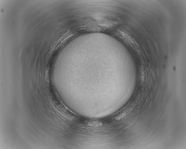 X0000057580258200510171715