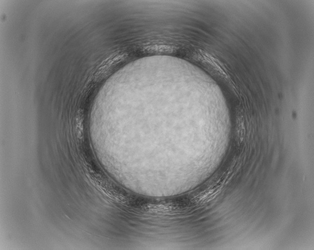 X0000057580259200510171715