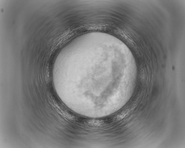 X0000057580261200510171715