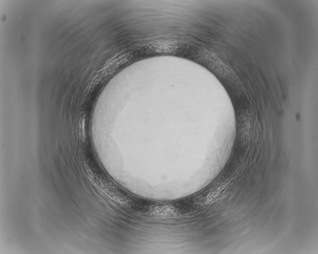 X0000057580262200510171715