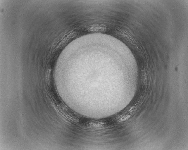 X0000057580263200510171715