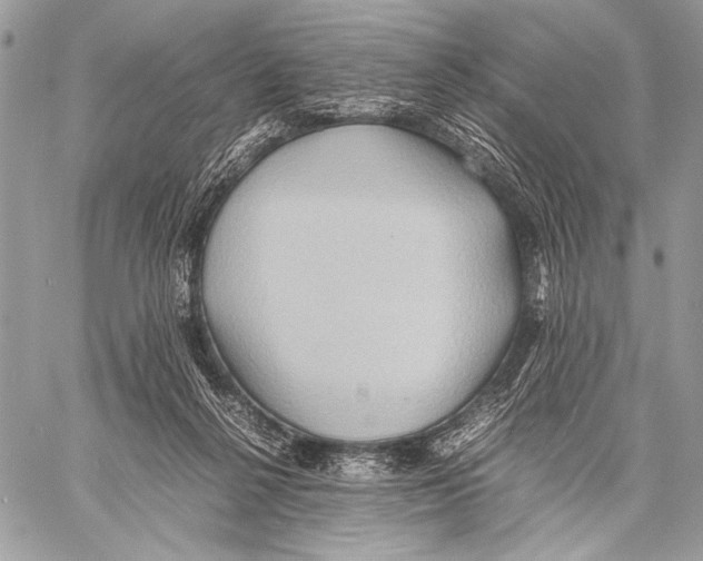 X0000057580264200510171715