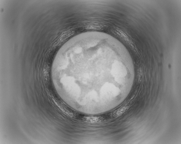 X0000057580265200510171715