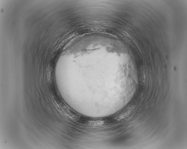 X0000057580266200510171715