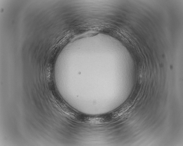 X0000057580268200510171715