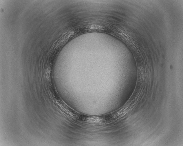 X0000057580269200510171715