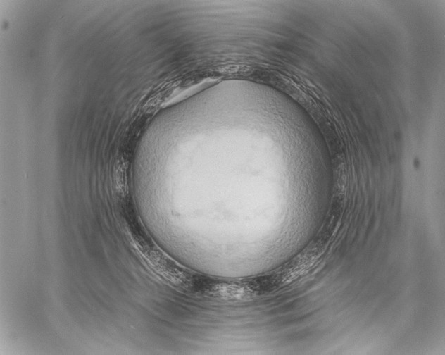 X0000057580272200510171715