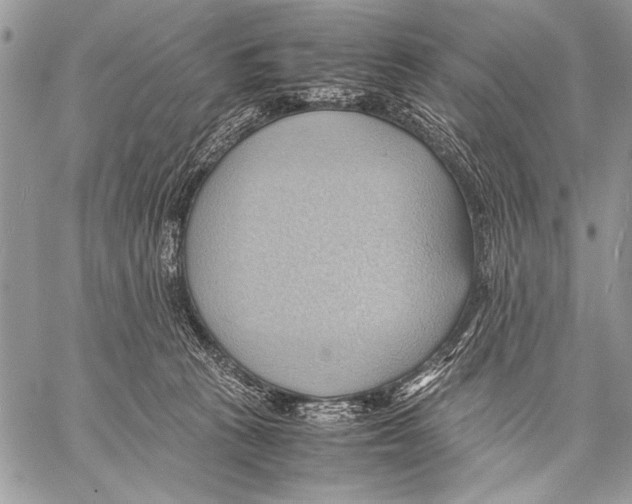 X0000057580273200510171715